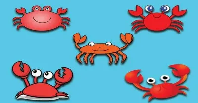 Cranky Crustacean Crossword Clue: Unraveling the Mystery Behind the Answer