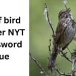 bit of bird chatter nyt crossword clue