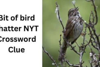 bit of bird chatter nyt crossword clue