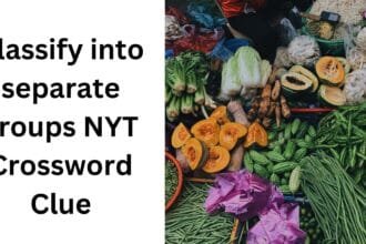 classify into separate groups nyt