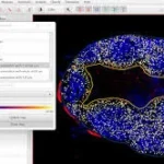 spatial analysis in QuPath