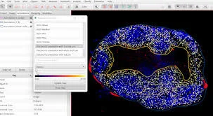 spatial analysis in QuPath